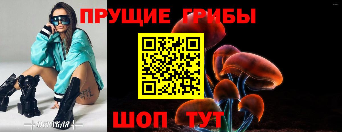 Каменск-Шахтинский  Псилоцибиновые грибы Psilocybine cubensis  Вход с VPN 